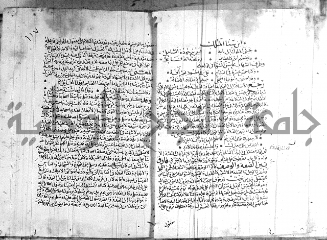 شرح لامية العجم 