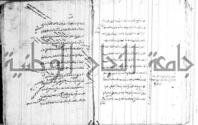 ضوء في علم النحو