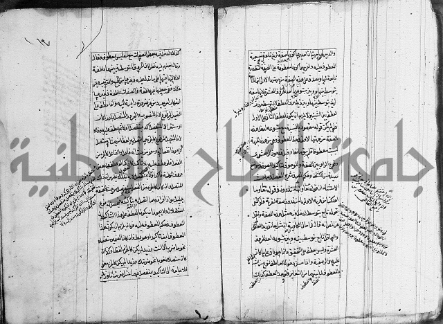 فوائد على الكافية 