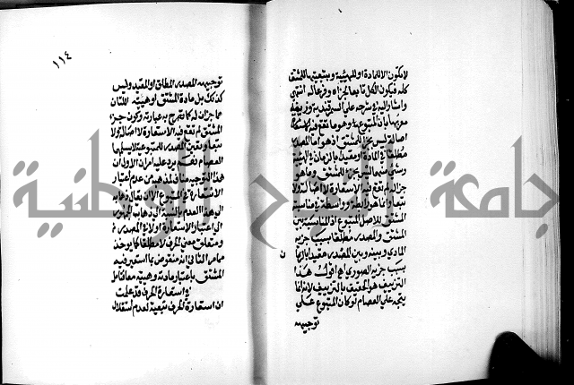 الرسالة البيانية