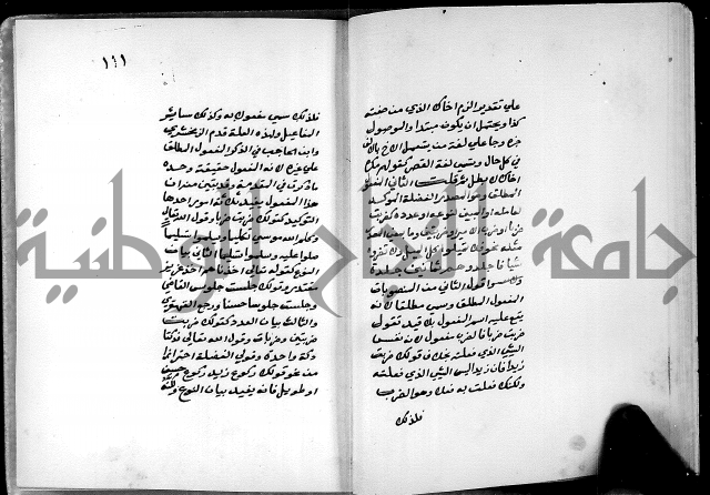 شرح شذور الذهب في معرفة كلام العرب 