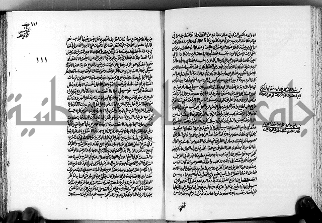 الجواهر الدورية في تنقيح الفتاوى الحامدية ج2 