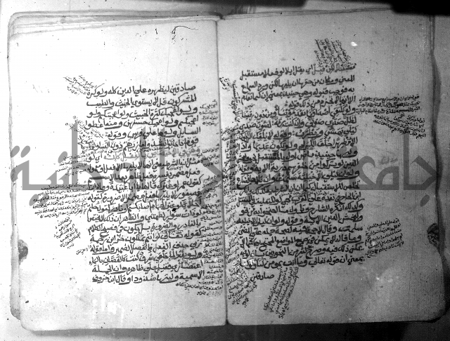 شرح الاشموني على الافية