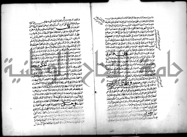 كتاب الحيوان
