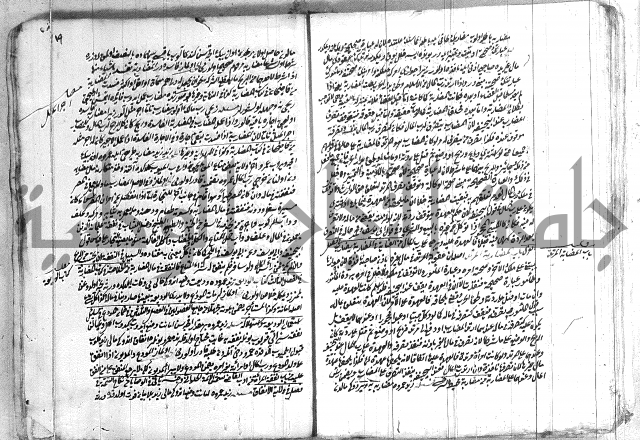 فتاوي تركية