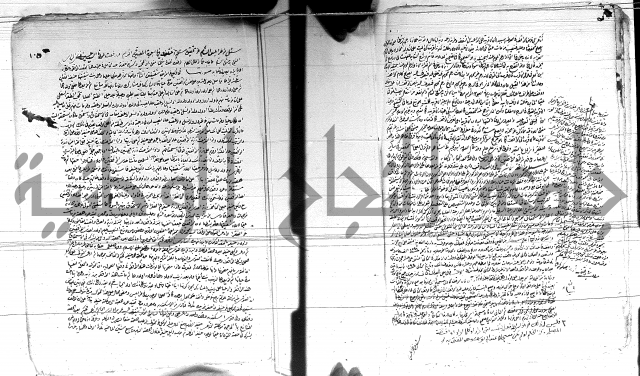 الفتاوى الحسينية