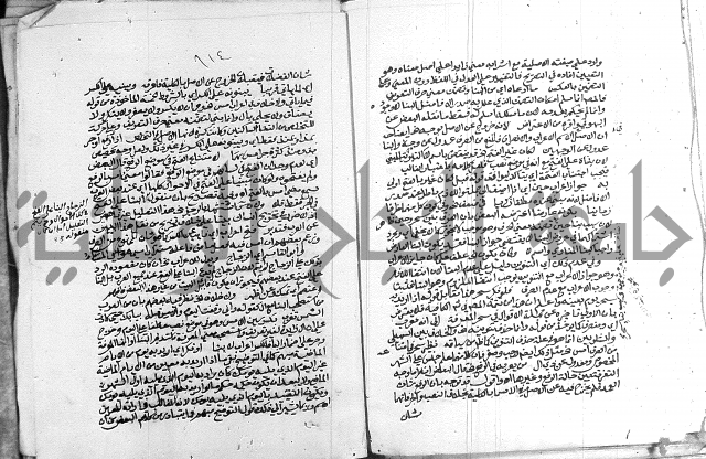 كتاب في اللغة العربية