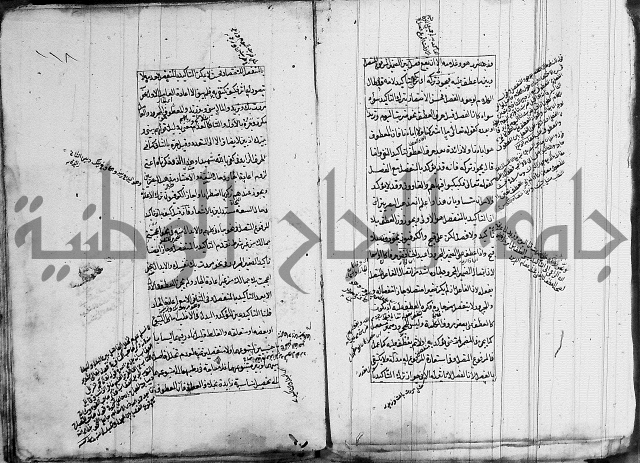 فوائد على الكافية 