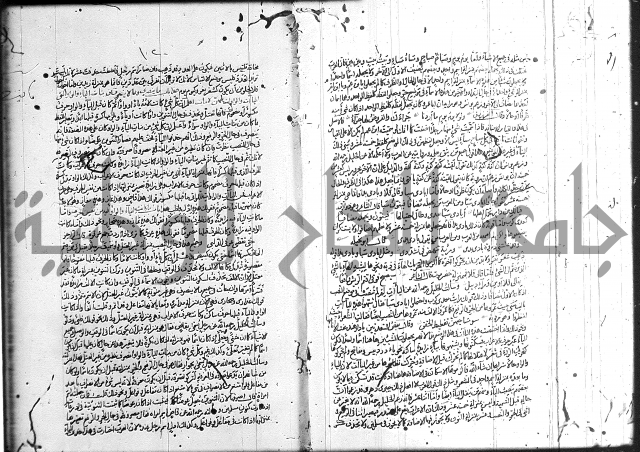 سيبويه 