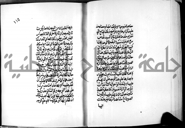 الرسالة البيانية