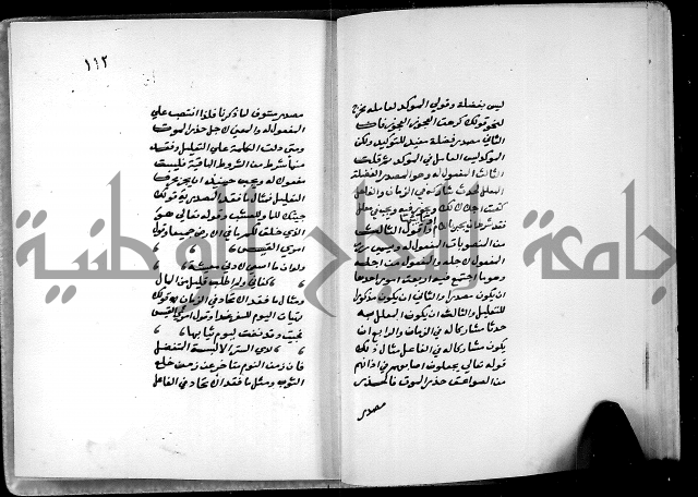 شرح شذور الذهب في معرفة كلام العرب 