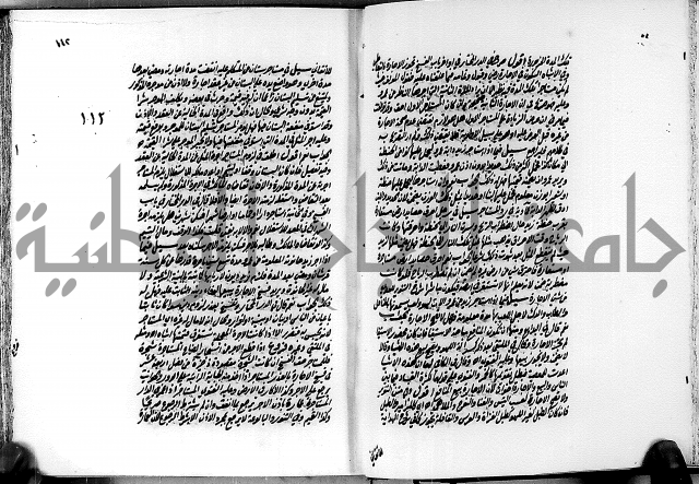 الجواهر الدورية في تنقيح الفتاوى الحامدية ج2 