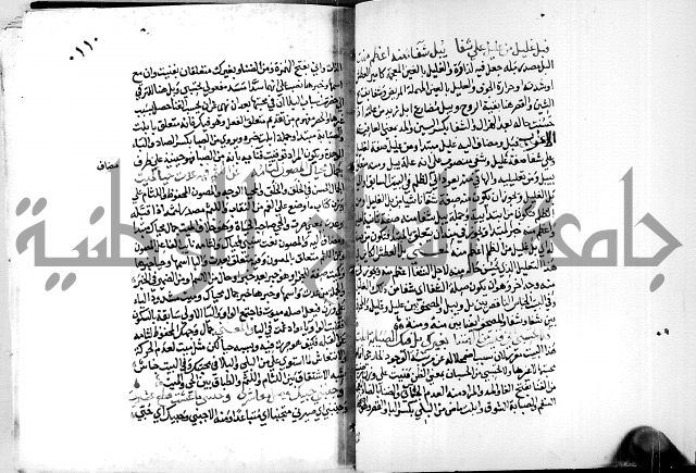 البحر الفائض في شرح ديوان ابن الفارض البوريني 