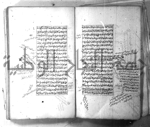 شرح الشافية 