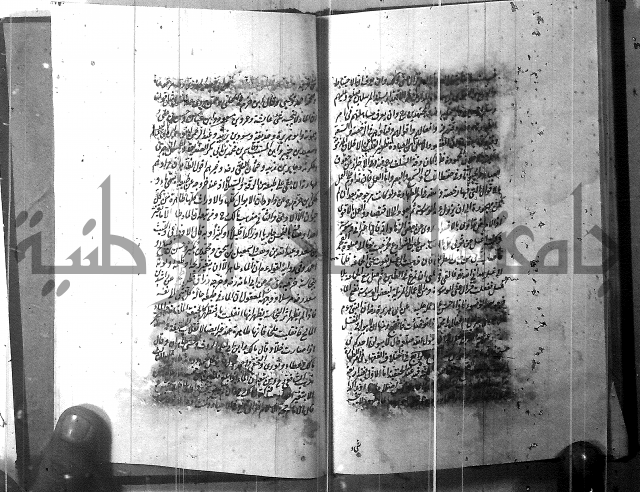 الطريقة المحمدية 