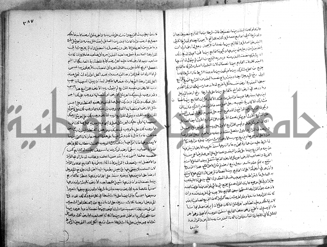 خزانة المفتين