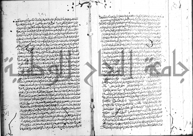 سيبويه 