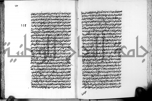 الجواهر الدورية في تنقيح الفتاوى الحامدية ج2 