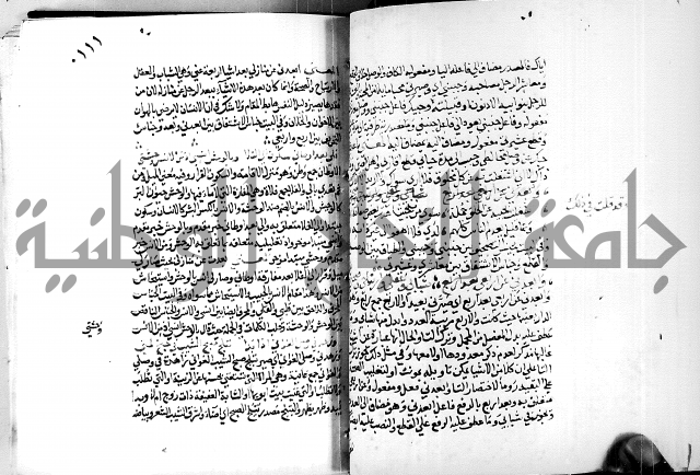 البحر الفائض في شرح ديوان ابن الفارض البوريني 