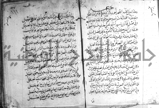 ديوان الصرصري
