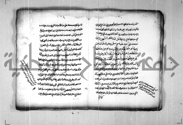 شرح الهمزية  