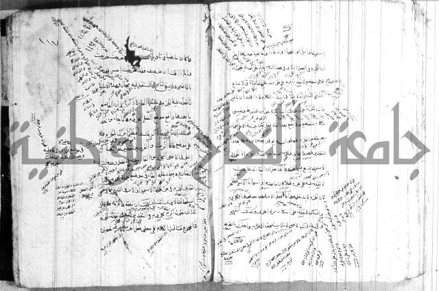 ضوء في علم النحو