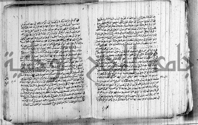 المجالس السنية