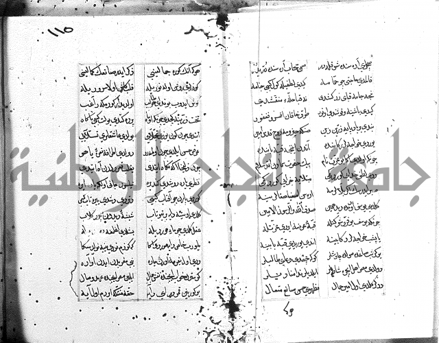 كتاب يوسف زليخا المؤلف 