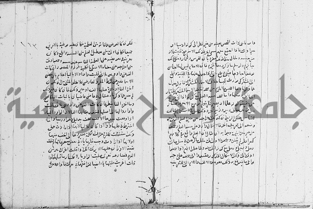 نحو - شرح الكافية