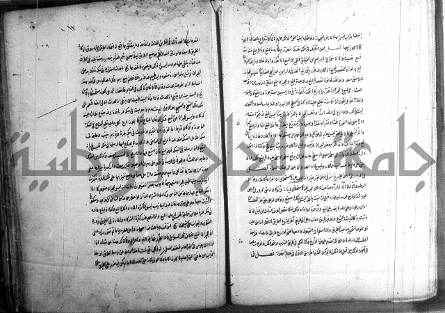 حاوي مسايل المنيه