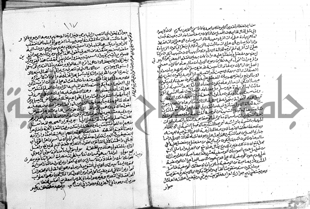 كتاب في اللغة العربية