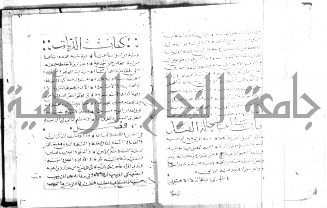 نظم كنز الدقائق