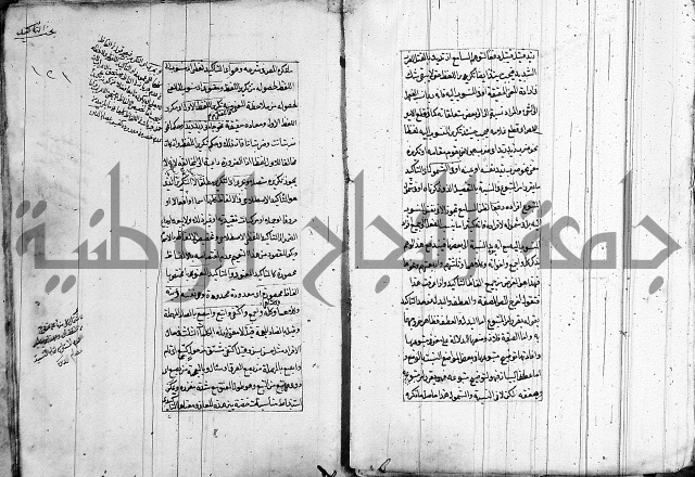 فوائد على الكافية 