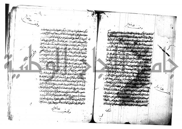 شرح شذور الذهب لابن هشام