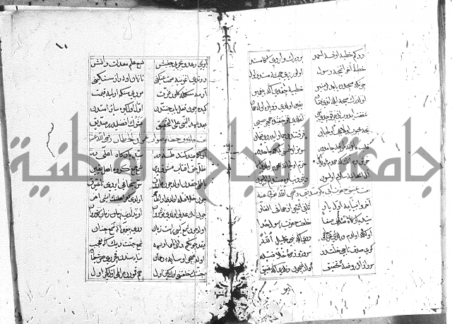 كتاب يوسف زليخا المؤلف 
