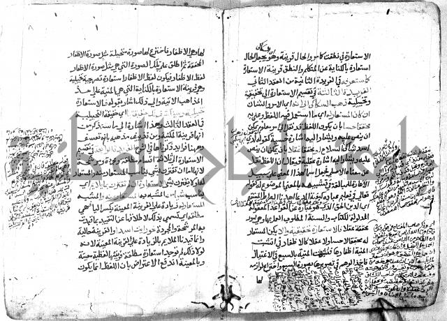 شرح الاستعارة الصغير للملوي