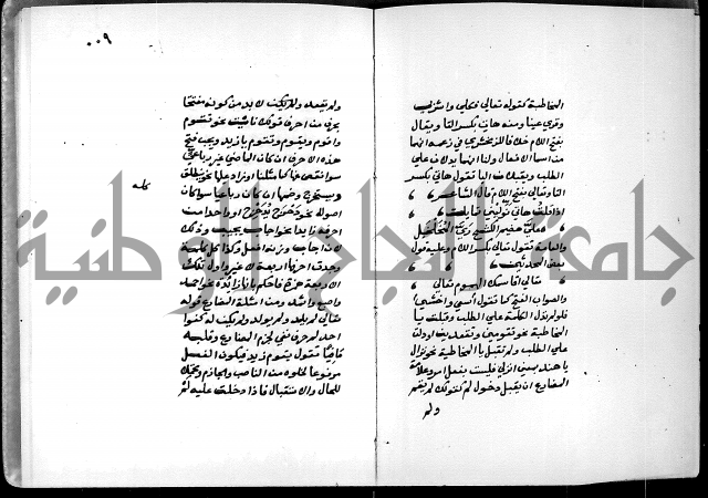 شرح شذور الذهب في معرفة كلام العرب 