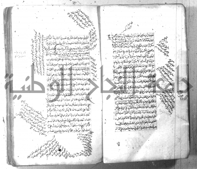 شرح الشافية 
