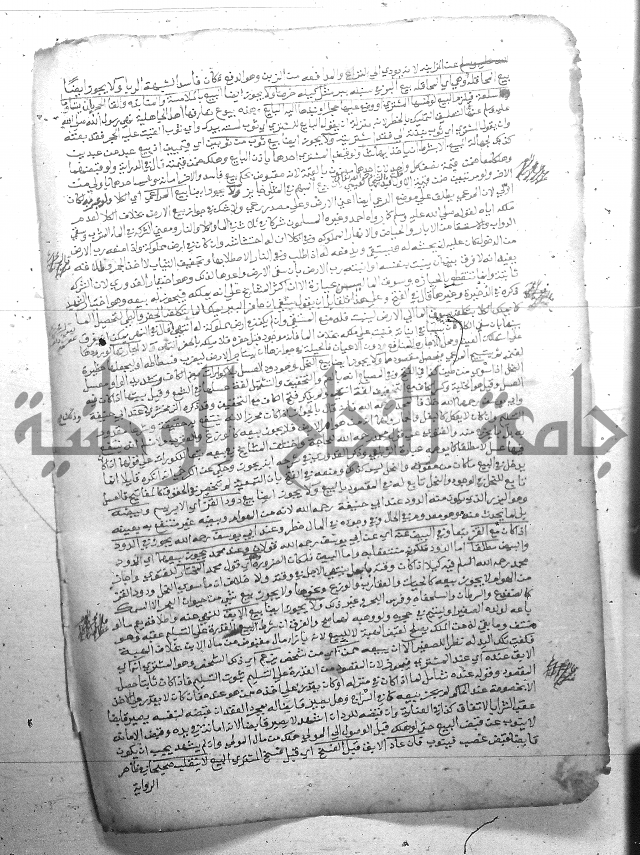 فيض الانهر على ملتقى الاكبر ج2 