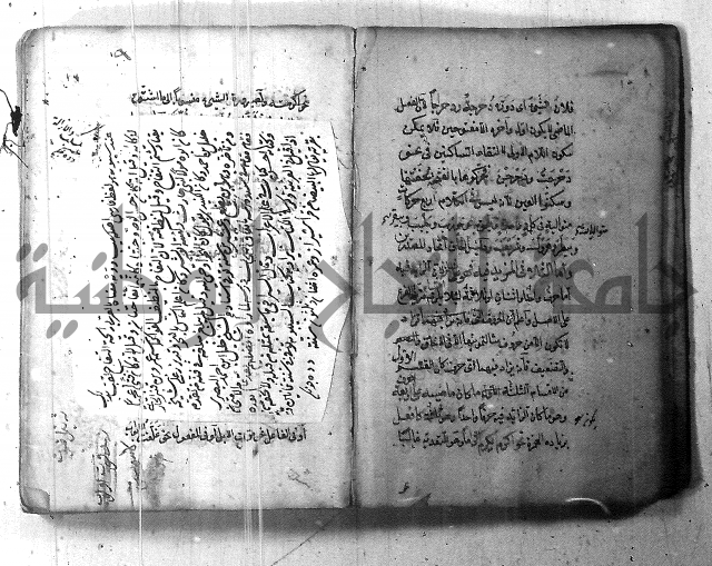 التفنن في الصرف