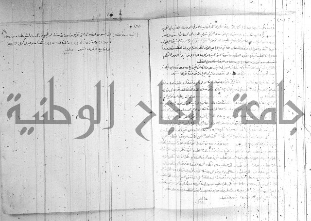 اصول معرفة النسب