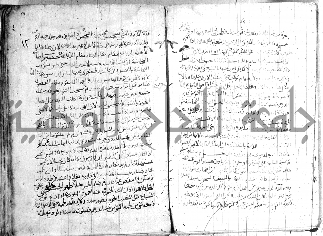 الفتاوى الولوالجية  