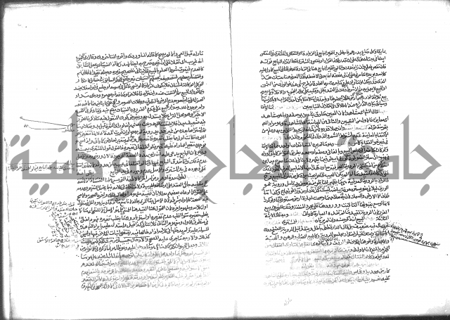 شرح الرملي 2