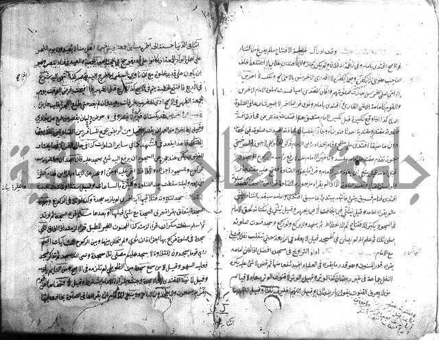 منية الفتى 