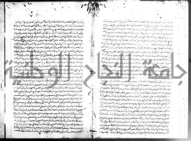 نهاية المحتاج 