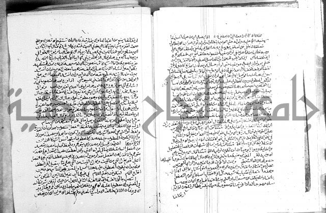 كتاب في اللغة العربية