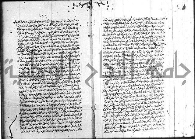 سيبويه 