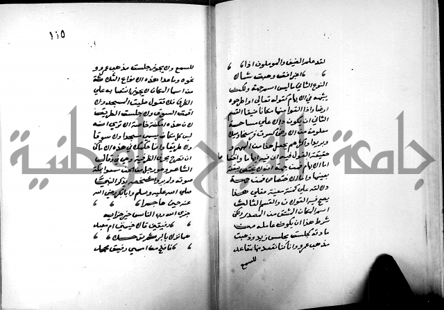 شرح شذور الذهب في معرفة كلام العرب 