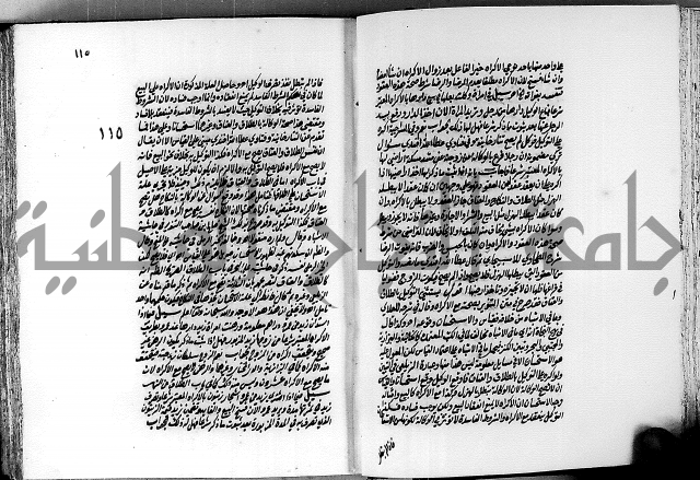 الجواهر الدورية في تنقيح الفتاوى الحامدية ج2 