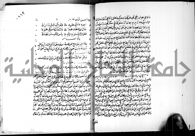 البحر الفائض في شرح ديوان ابن الفارض البوريني 